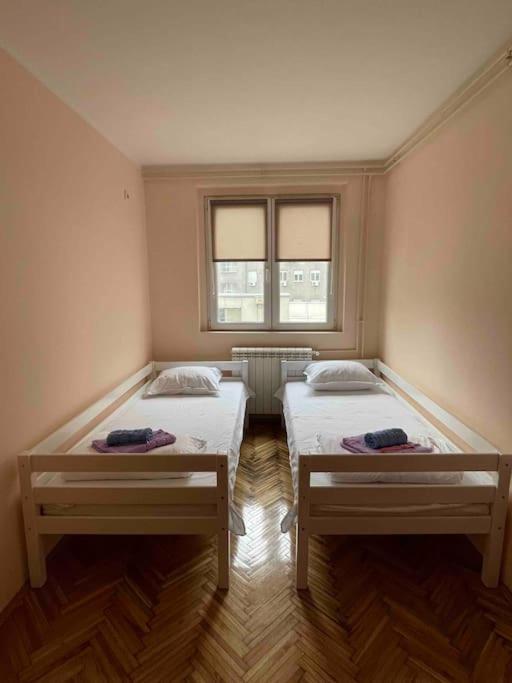Bg Sunflower Apartment Beograd Eksteriør billede